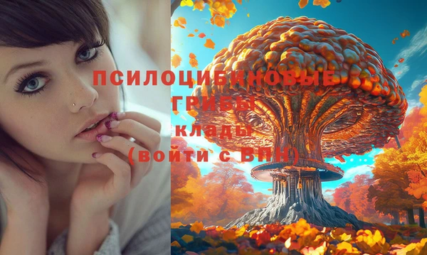 2c-b Навашино