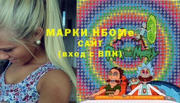 стаф Богородск