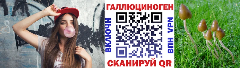 где можно купить наркотик  Кяхта  Галлюциногенные грибы Magic Shrooms 